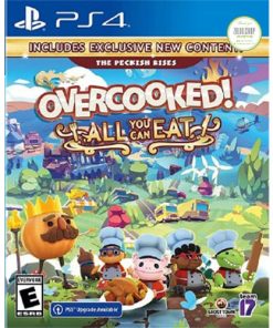 Overcooked All You Can Eat